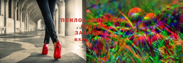 мескалин Баксан