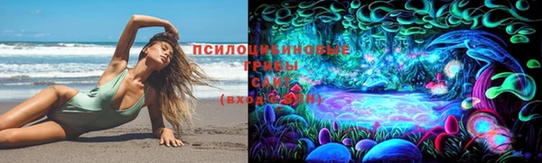 амф Балахна